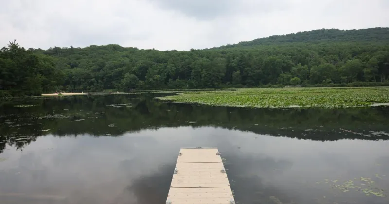 Pine Grove Furnace State Park's Laurel Lake temporarily closes to swimming