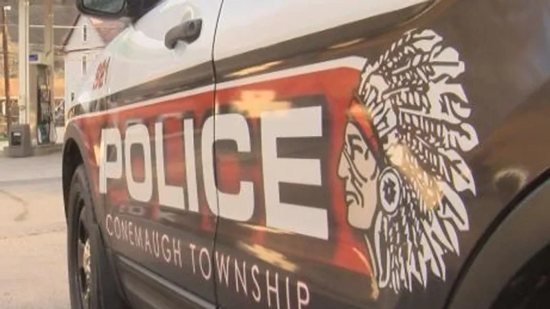 'Maybe I did!' PD: Hollsopple man accused of intentionally shooting cat with pellet gun