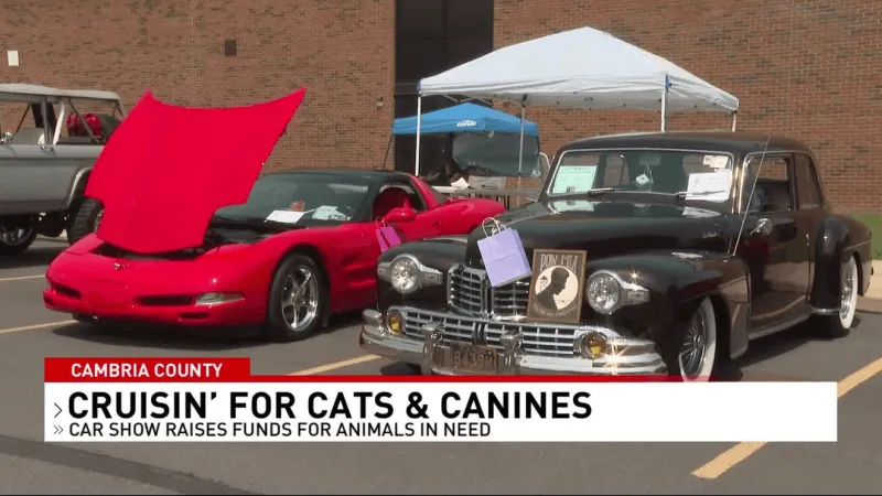 Johnstown car show benefits animal rescue group
