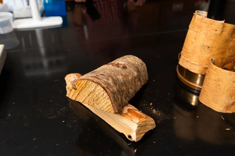 From birch bark to bio-based polymers