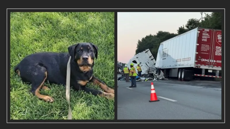 Coroner IDs NM Army vet killed in I-80 tractor-trailer crash; missing dog found safe