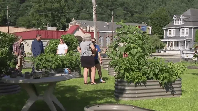New Johnstown community garden gives children experience with nature, healthy living