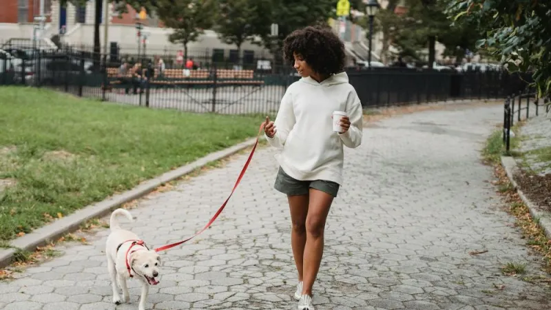 'Everybody Walk Across Pennsylvania": Extension offers free virtual walking program