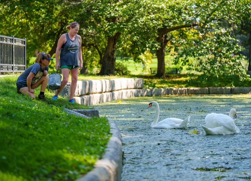 Miller and S'Ville: The Pond's Most Popular Pair