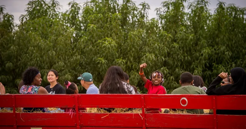 Linvilla's Apple Festival to go on after April freeze damages harvest