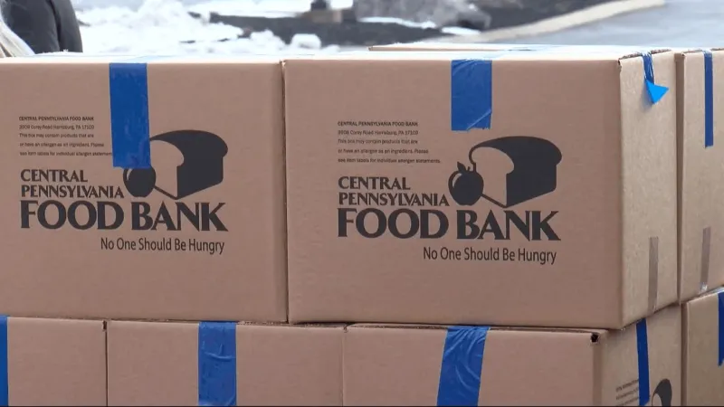 'Less farms, less food:' Pa officials report continued hunger demand despite farmland loss