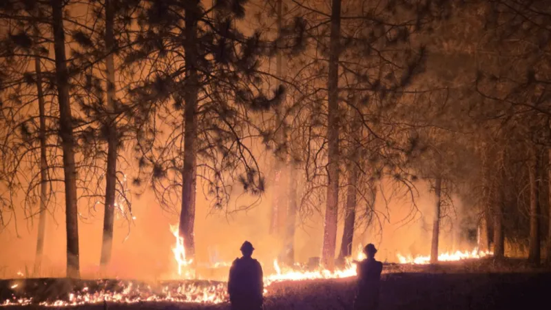 Twenty Pennsylvanian firefighters sent to Washington to aid wildfire combating efforts