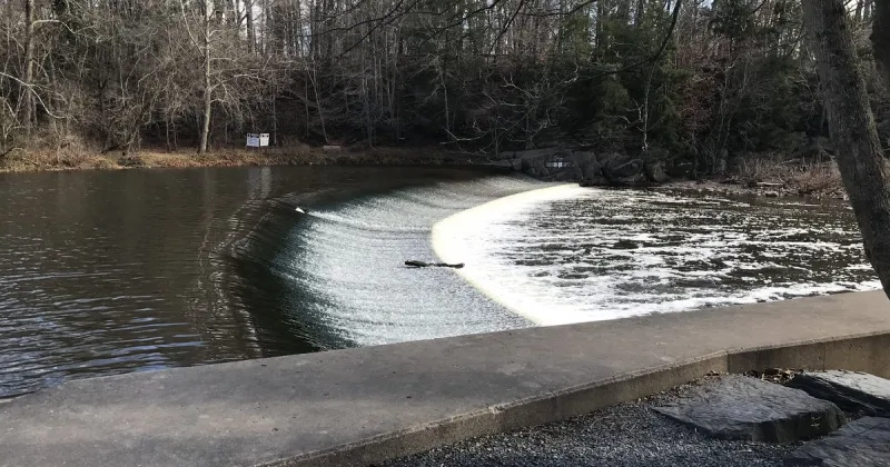 A dam on Neshaminy Creek is being removed to improve fish passage, public safety