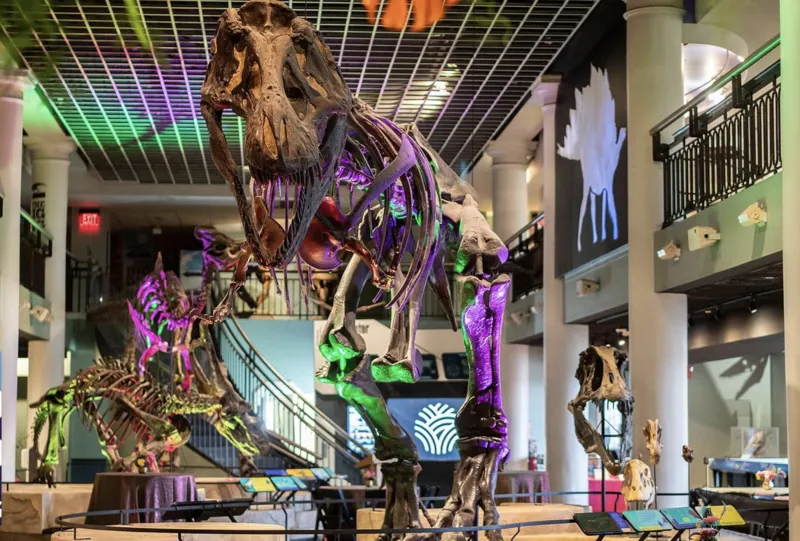 The Academy of Natural Sciences is closing its museum after over two centuries. Here are some exhibits to see while you can.
