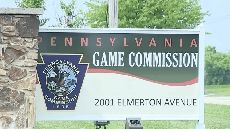 New report recommends combining PA game, fish and boat commission services