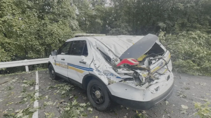 GALLERY | Storm downs trees, damages West Hills police cars as Westmont stays in emergency