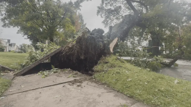Emergency officials provide update on storm damage, power restoration