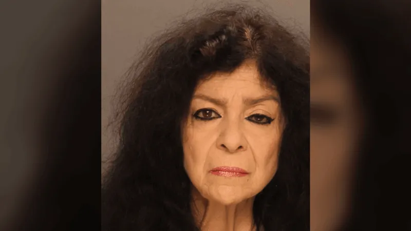 'Dying' cat euthanized after living inside hot van with Lancaster County woman, police say