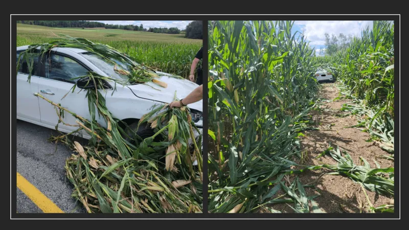 PD: Multi-county police pursuit ends with suspect car crashed into cornfield in Hollsopple