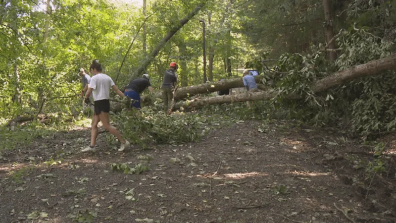 Volunteers, rangers clear storm-damaged trees at Stackhouse Park in Westmont