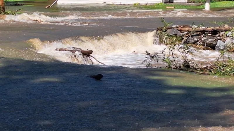 Orviston community continues cleanup nearly one week after severe flooding