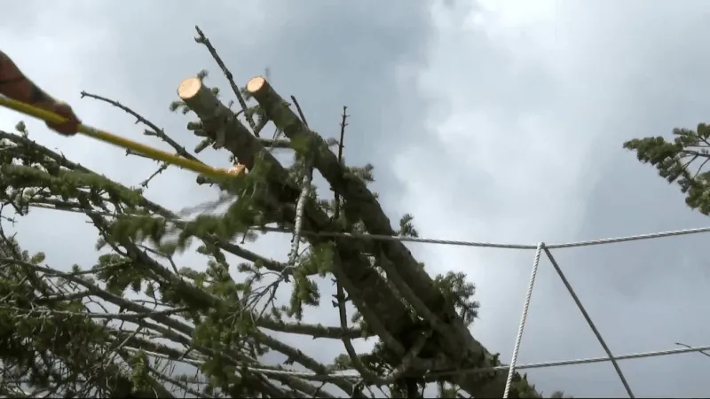 Penelec in 'final stages' of restoring power to Johnstown-area customers impacted by storm