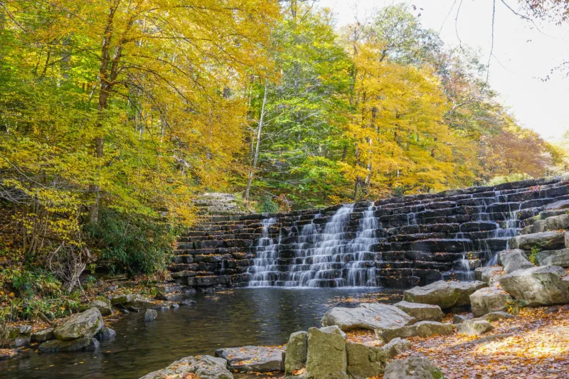 7 of the Best Places to View Fall Colors in Pittsburgh