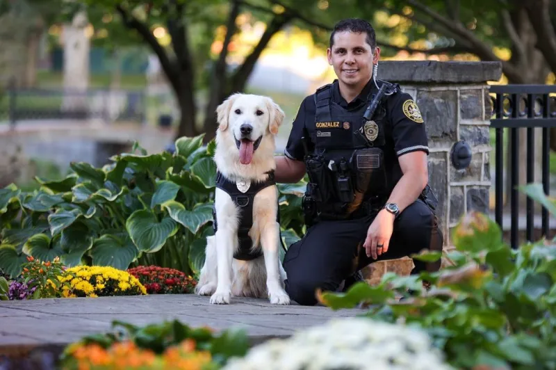 All About Brooks: MUPD's Trauma K-9