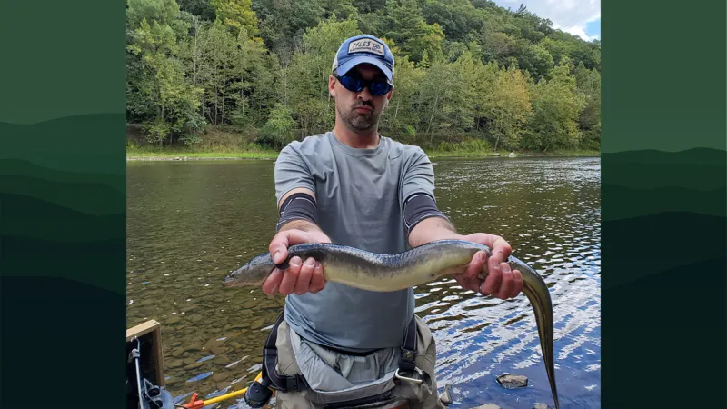 Susquehanna Stories: Meet eel whisperer Aaron Henning