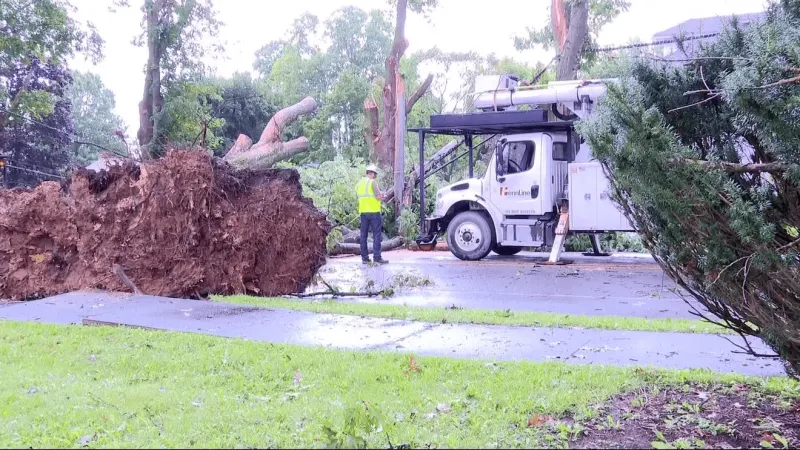 NWS confirms powerful straight line winds caused widespread damage in Cambria County