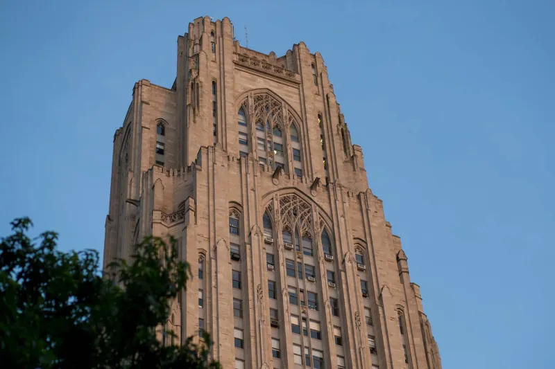 Pitt names first Title VI coordinator, aims to increase ability to address discrimination
