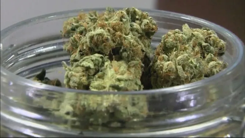 12 charged with trafficking marijuana to smoke shops across Pennsylvania, officials say