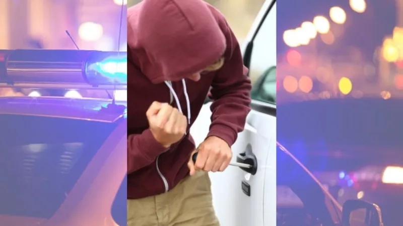 2 flee from police after stolen car found in Mechanicsburg neighborhood
