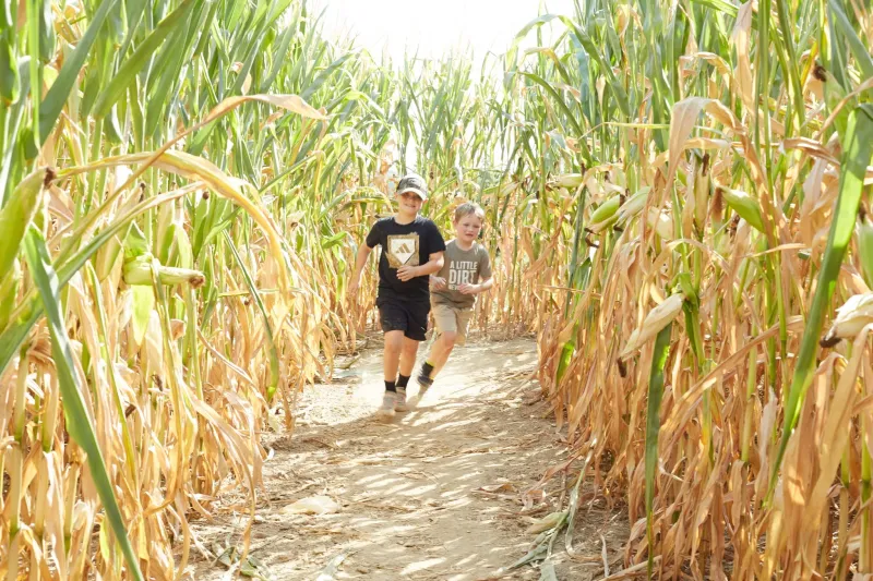 10+ farms to visit this fall, from Soergel Orchards to Braddock Farms