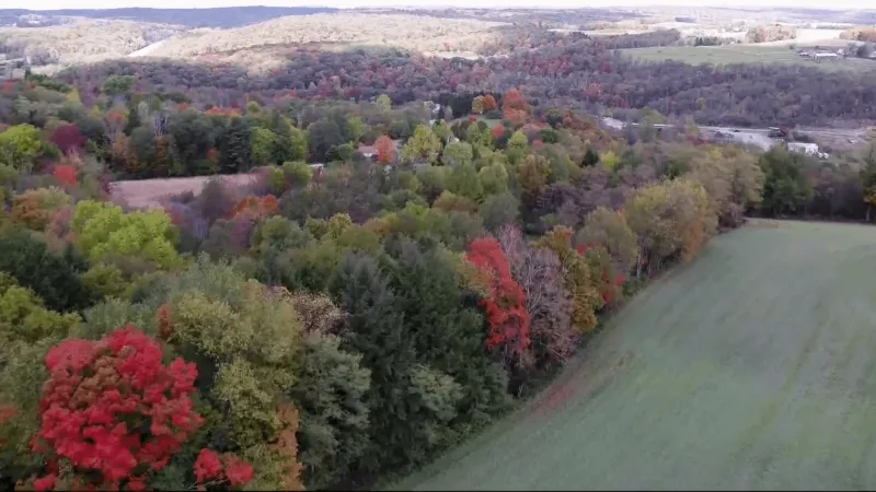 EXPLAINER | Summer rains expected to lengthen fall foliage season in Pennsylvania