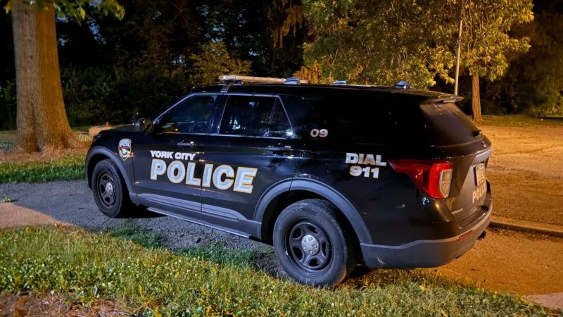 Police investigate off-campus fight involving York College students