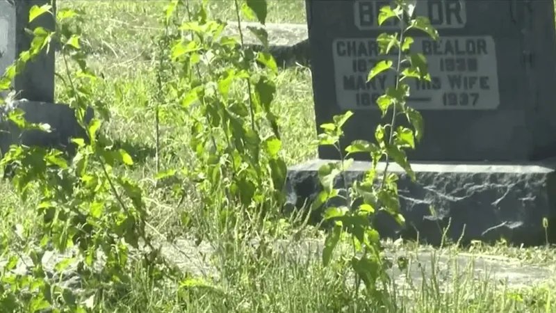 Cumberland County residents say weeds, tall grass taking over cemetery