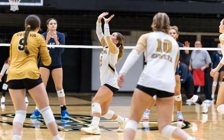Women's Volleyball Hangs Tight at Division II Point Park