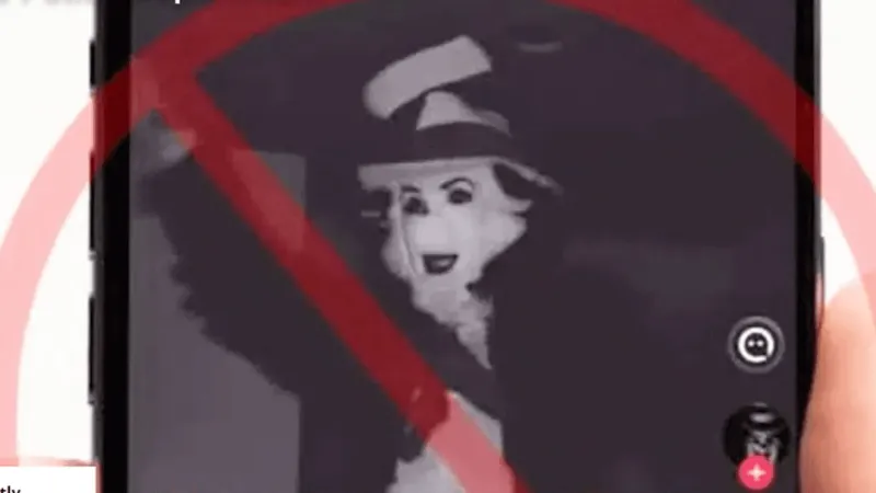 'Cat in the Hat' threat campaign costs PA taxpayers $300K, security company says