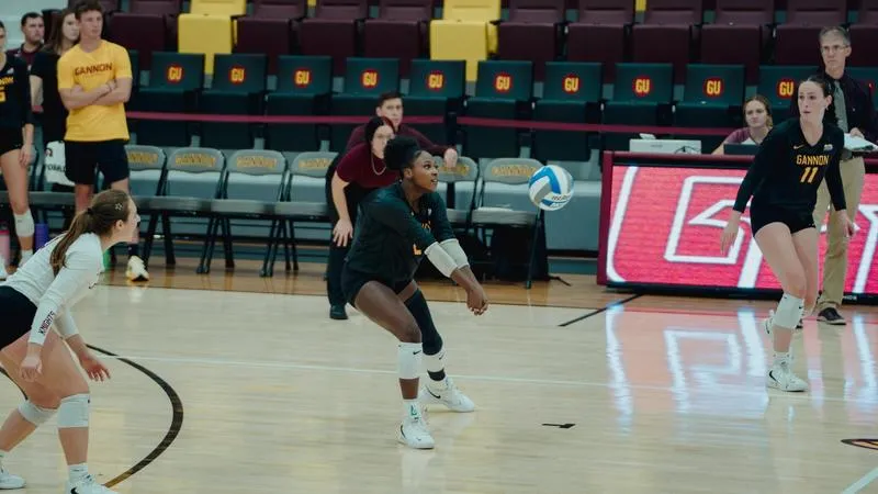 Volleyball Sweeps Edinboro for Eighth Straight Win
