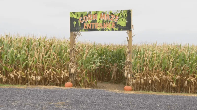 Some farms kick off corn mazes and pumpkin patches on wet weekend as fall begins Tuesday