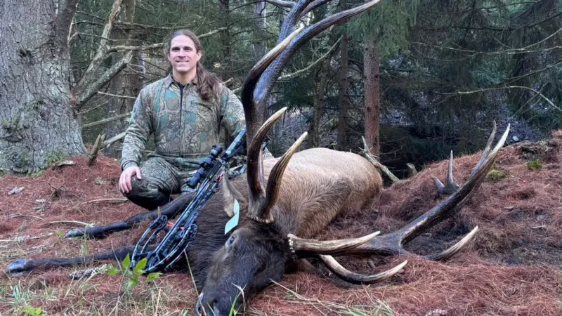 Local man bags massive elk on 40th birthday, could break PA archery record