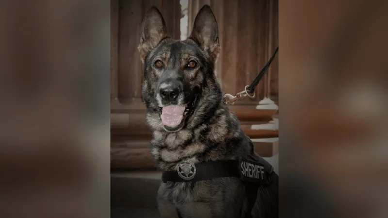 Cumberland County Sheriff's Office announces passing of retired K-9