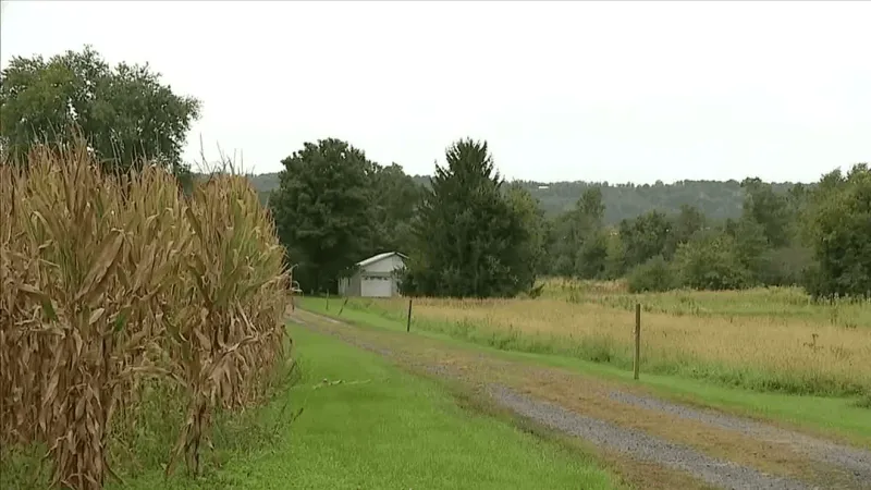 Granville Township gridlocked after resignations as data center plans loom