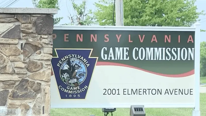 Lawmaker wants to explore blending operations for some PA game, fish and boat services