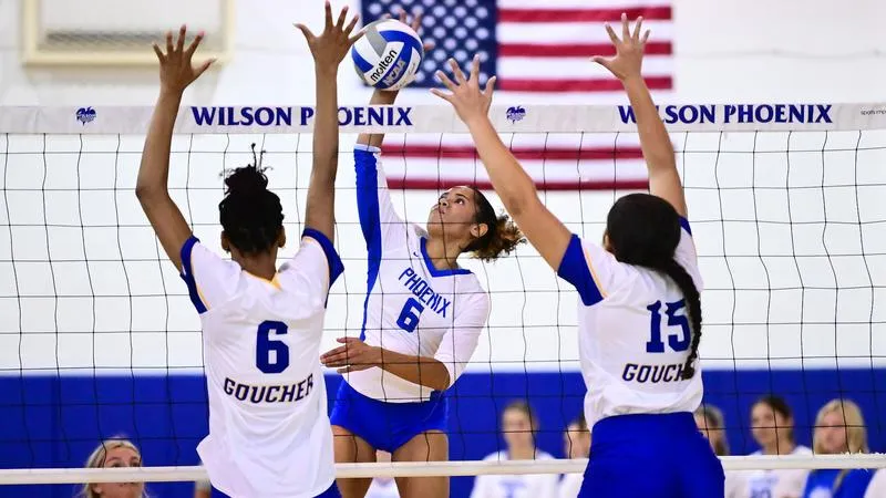 Women's Volleyball Downed By Mount Aloysius