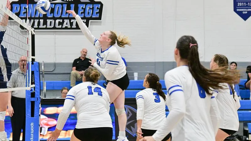 Wildcats Fall to Elmira