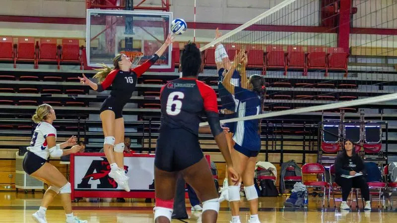 Volleyball Hosts First Conference Game against Messiah