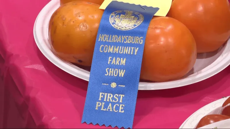 89th annual Hollidaysburg Community Farm Show highlights farming & agriculture education