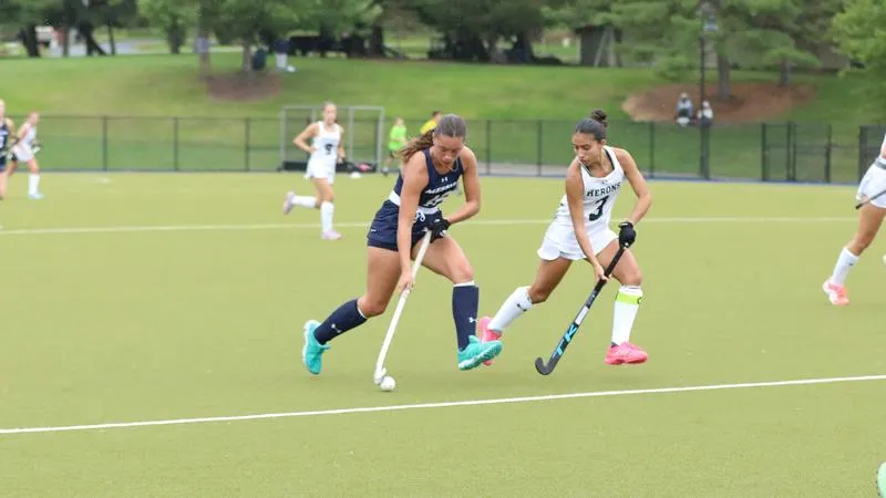 Falcons Clip Herons in Rainy Battle