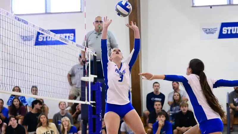 Phoenix Take Gators To Distance, But Fall In Five