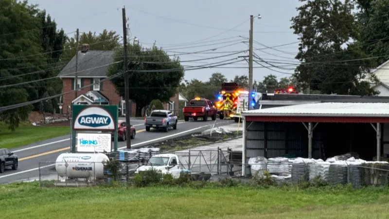 Dauphin County road closed after crash: dispatch
