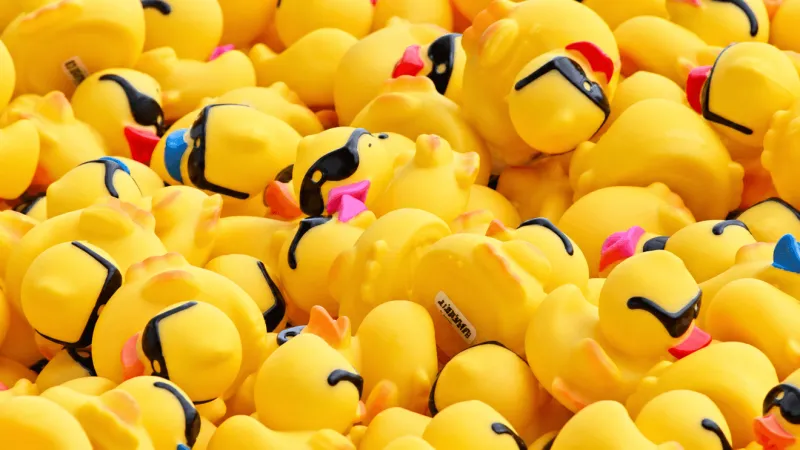 6th annual Lebanon County 'Rubber Ducky Derby' to benefit domestic violence survivors