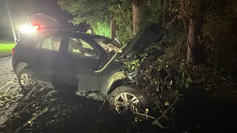 PHOTOS | Londonderry crews called away from training night as car crashes into fallen tree