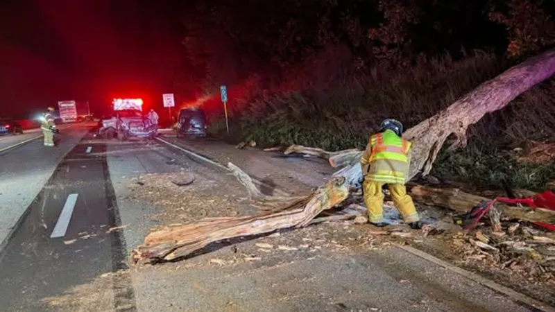 Downed tree on I-83 in York County causes 'several' crashes, sends 1 to hospital